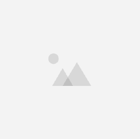 Maz & Greesy Grace  image